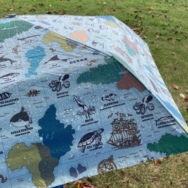 地球儀の上に魚などのイラストが入った日傘の写真。