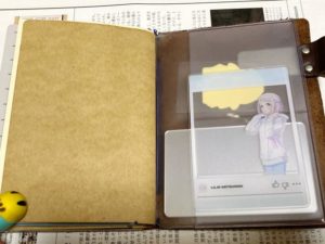 PVC製ジッパーケースの右側内ポケットにSNS風クリアカードが入っている写真