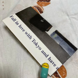 自作のおおよそ新書サイズリフィルの表紙。