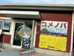 にちかのアクキーとユメノバ。