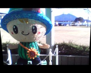 pieniで撮った写真の縦横比を修正したもの。ちっくんの大きい人形が写っており後方に筑波山が見える。